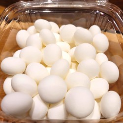 Scotch Mint Candy (per lb.) 