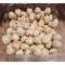 Natural Filberts (Hazelnuts) - per lb