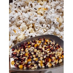 Rainbow Popping Corn