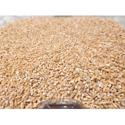 Steel Cut Oats