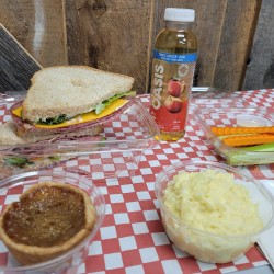 Lunch Boxes featuring our own Homemade Food (min. order 4 boxes)