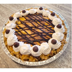 Chocolate Peanut Butter Ice Cream Pie