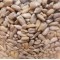 Raw Sunflower Seeds - per lb