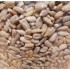 Raw Sunflower Seeds - per lb